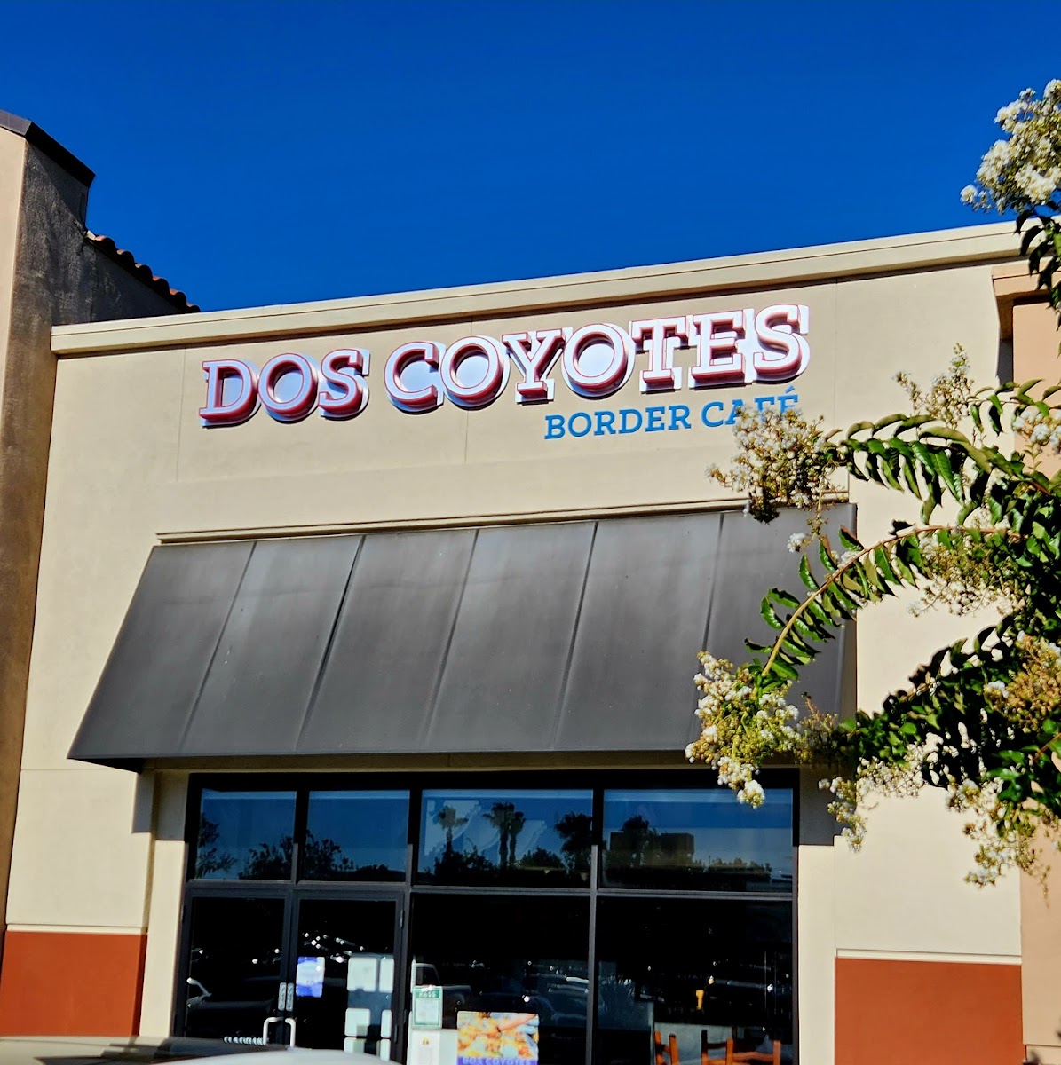 Dos Coyotes